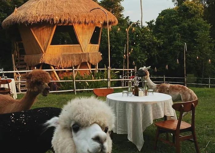 Alpaca 別荘 タナロット